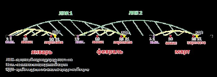 льготный период зависящий от даты выписки