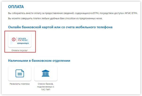 Оплата через госуслуги выпис