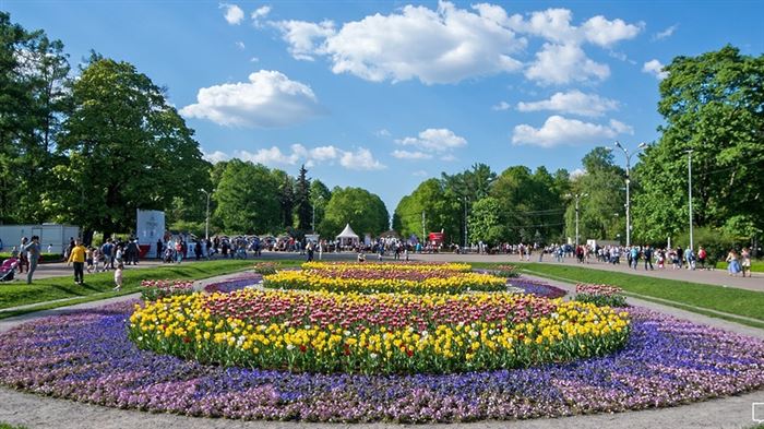 Сбербанк у Метро Авиамоторная на Карте Москвы • Сборщик-комплектовщик в вкусвилл