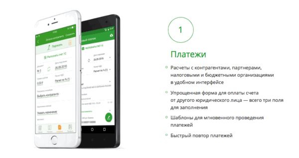 Платежи в Сбербанк Бизнес Онлайн