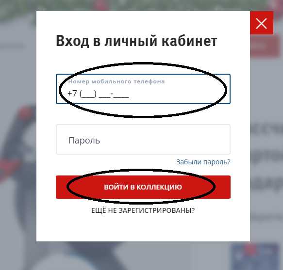 ВТБ на Что Стоит Обратить Внимание При Проверке Контрагентов